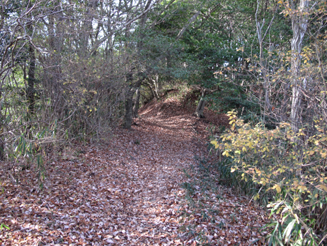 20131223hike (210)